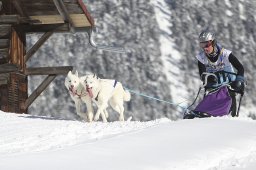 Kandersteg 2013